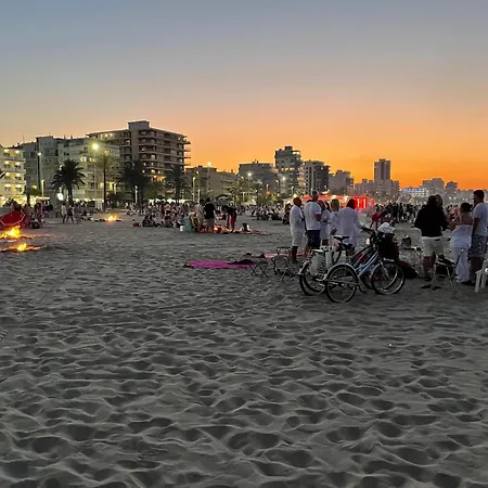 Layla - Solo Familias